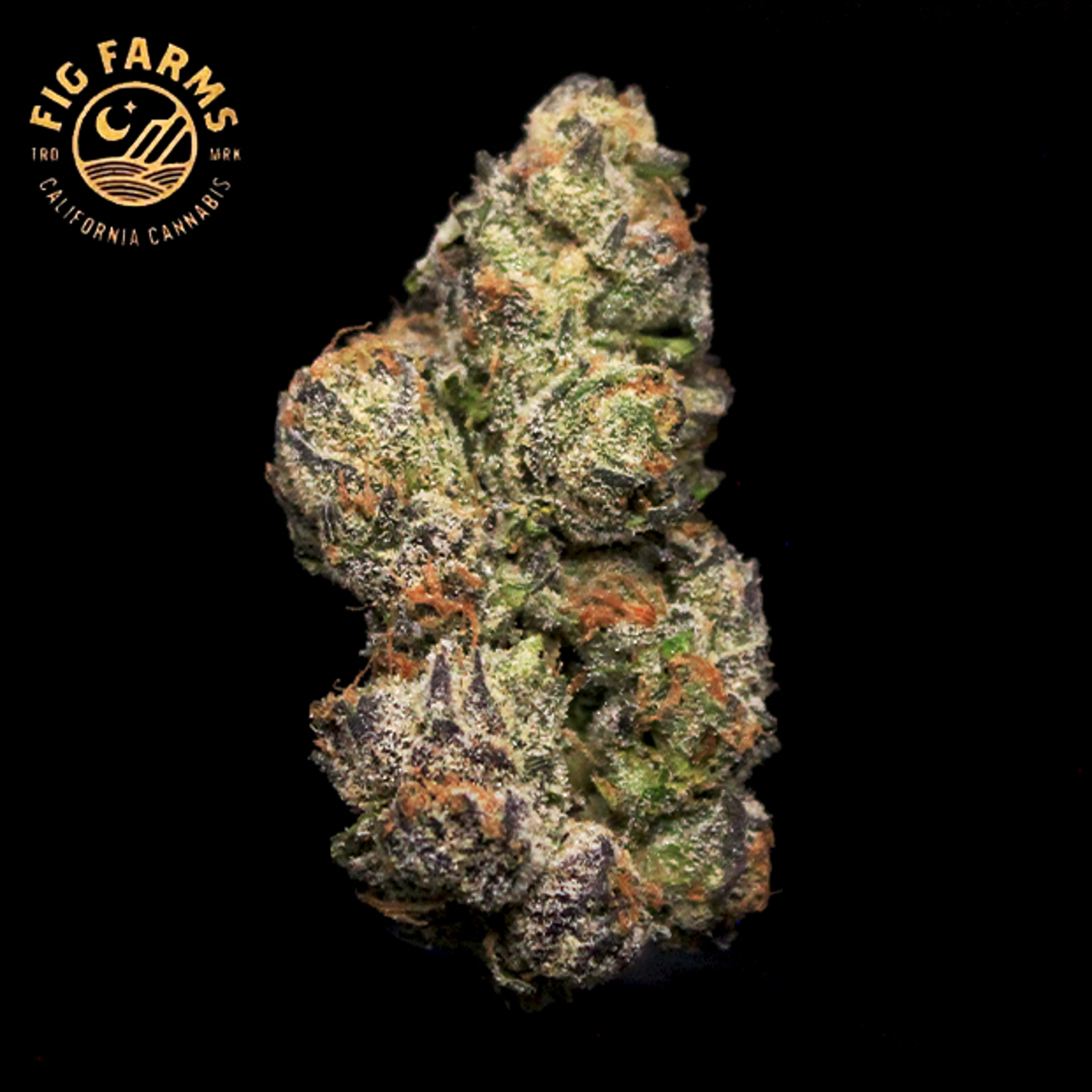 Fig Farms - Whole Fruits - 3.5g - Fig Farms - - $42.99 - Indoor Flowers