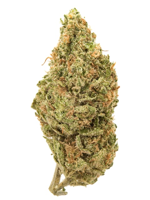 G13
