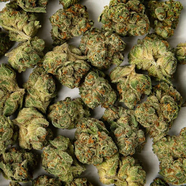 Cheetah Piss | 3.5g