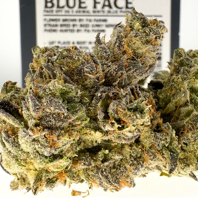 Blue Face