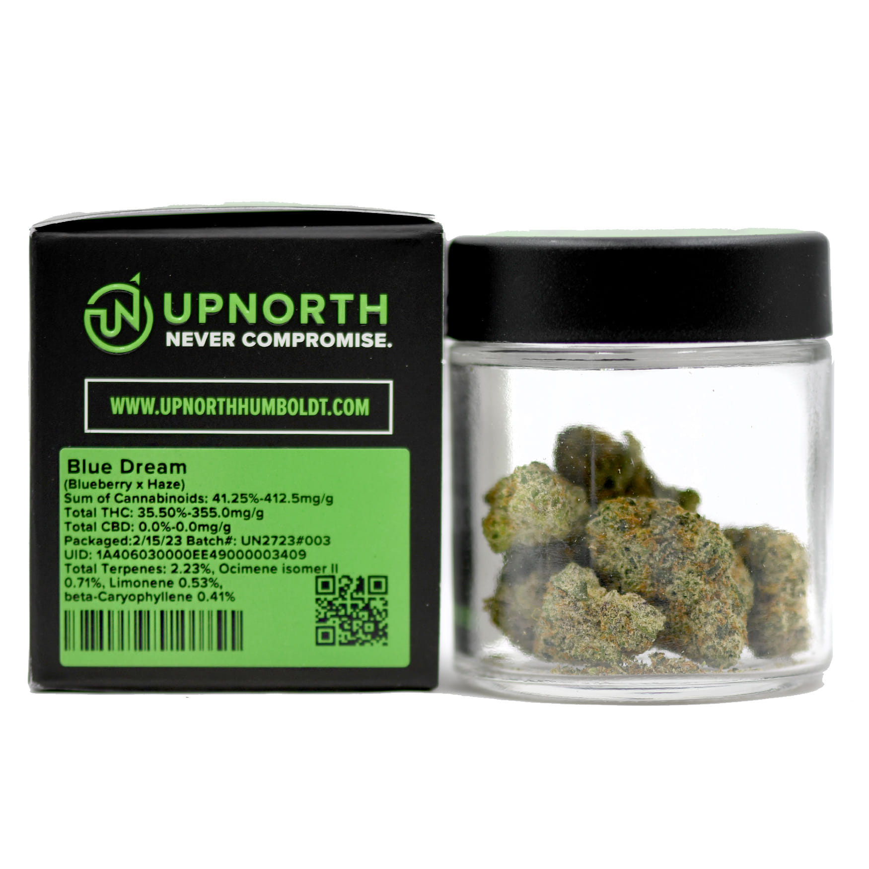 UpNorth: Blue Dream