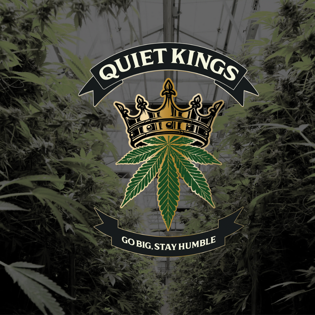 FACE MINTZ 7G FLOWER - QUIET KINGS -  - $18.75 - Flowers