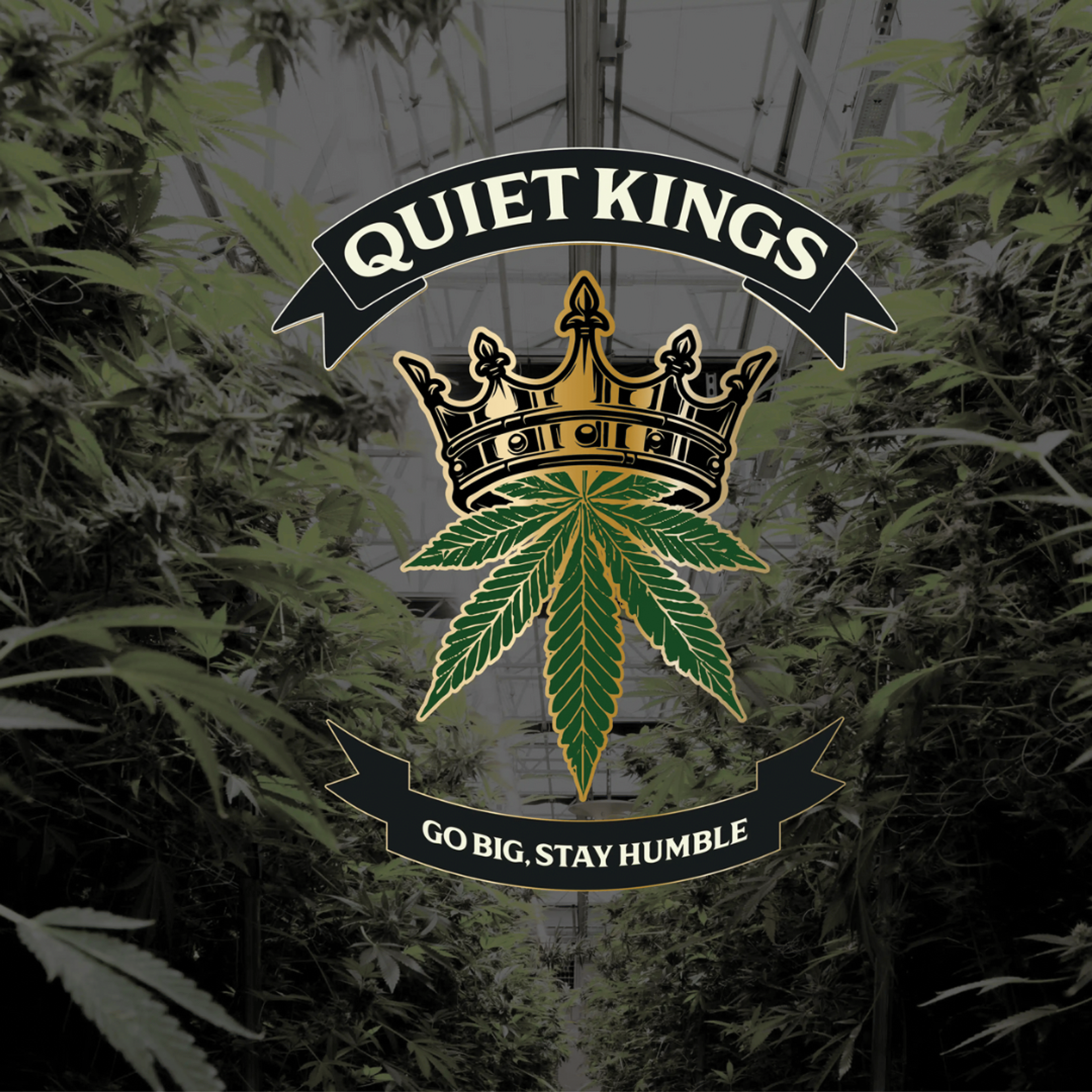 FACE MINTZ 7G FLOWER - QUIET KINGS - - $18.75 - Flowers