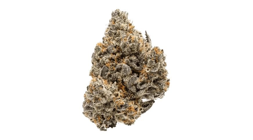 Biscotti 3.5g - De La Mota -  - $24.99 - Flower