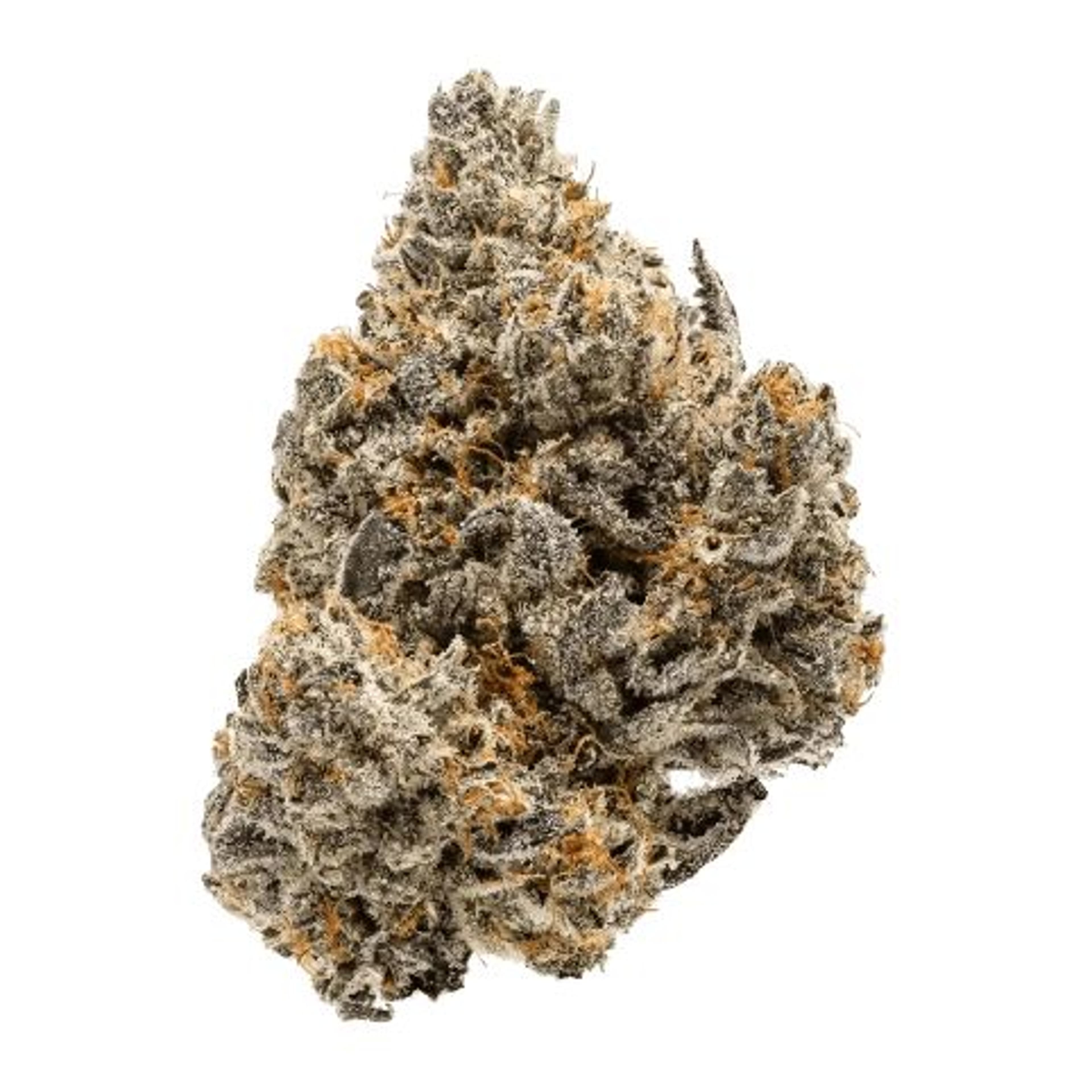 Biscotti 3.5g - De La Mota - - $24.99 - Flower