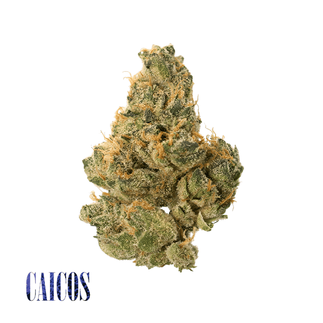 Caicos | 3.5g