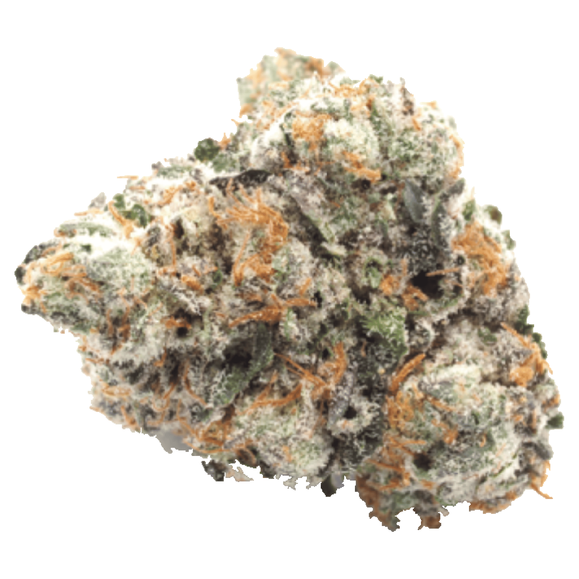 Baklava - Jar - Indoor Flower - Alien Labs - Eighth - $49.99 - Flower