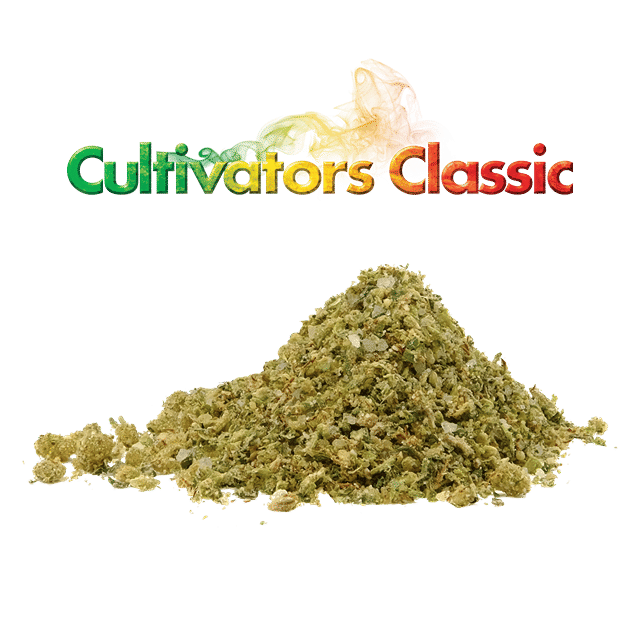Gush Mints | Diamond Infused Flower (Ready to Roll)