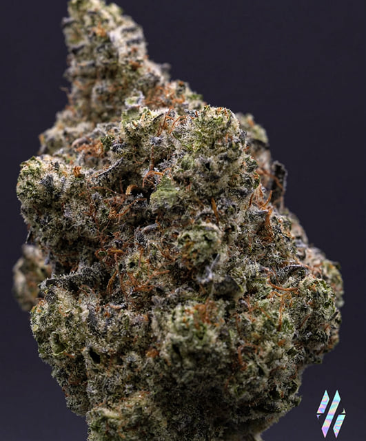 MilkWeed | Permanent Chimera | Flower | 3.5g