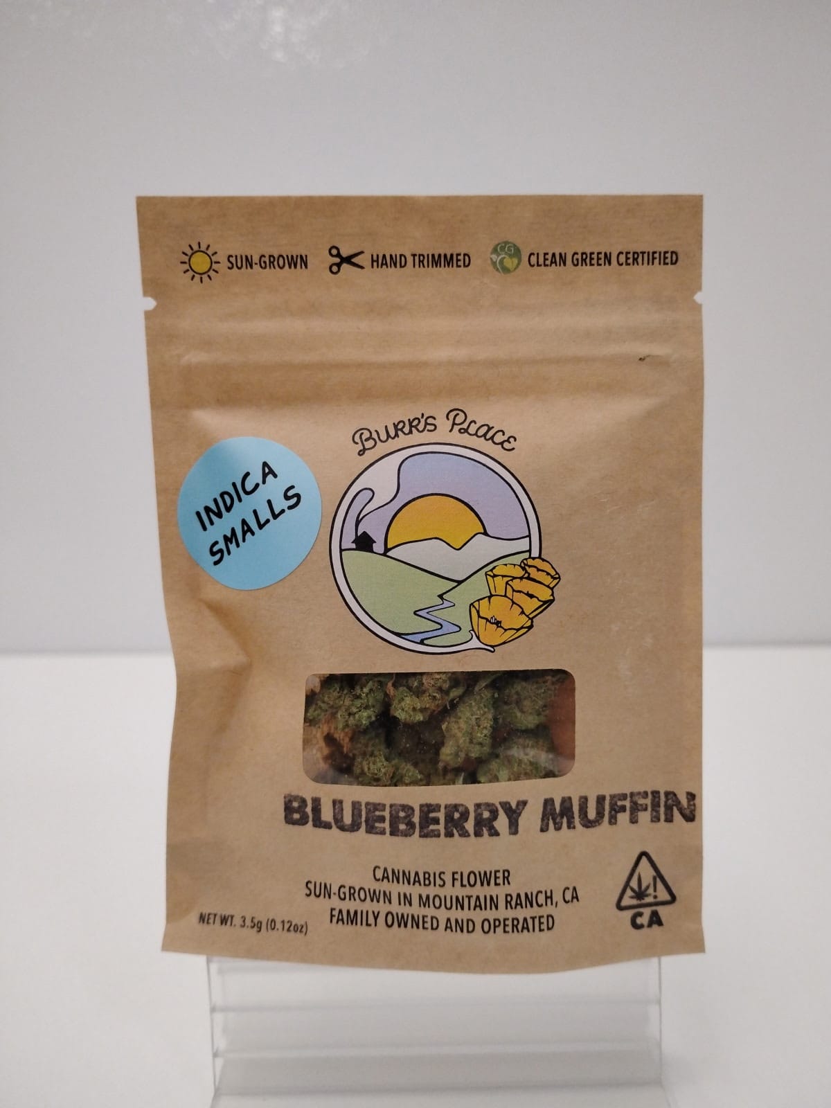 BURRS PLACE: Blueberry Muffins
