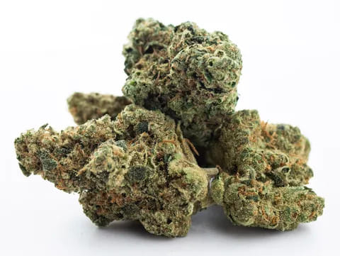 ALPACA CLUB - Cherry Bomb (H) - 28g Indoor Smalls - Alpaca Bowl 4 U - Bag - $124 - Flower