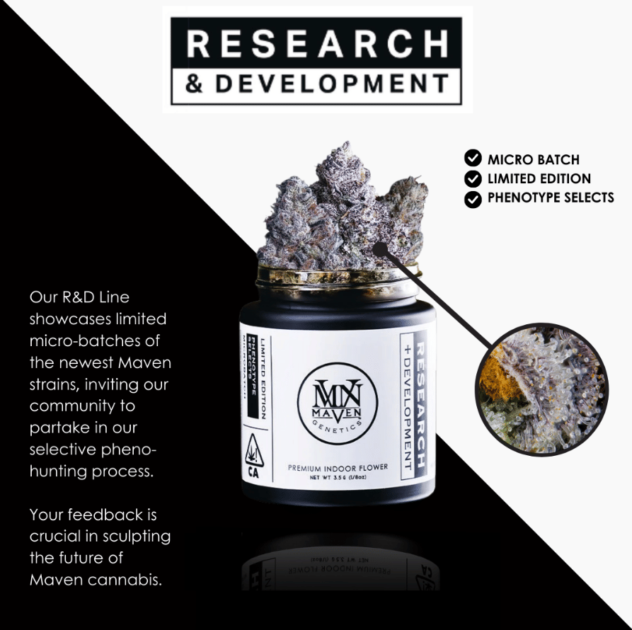 Prizm X Shangri-La #5 - Maven Genetics - Eighth - $36 - Flower