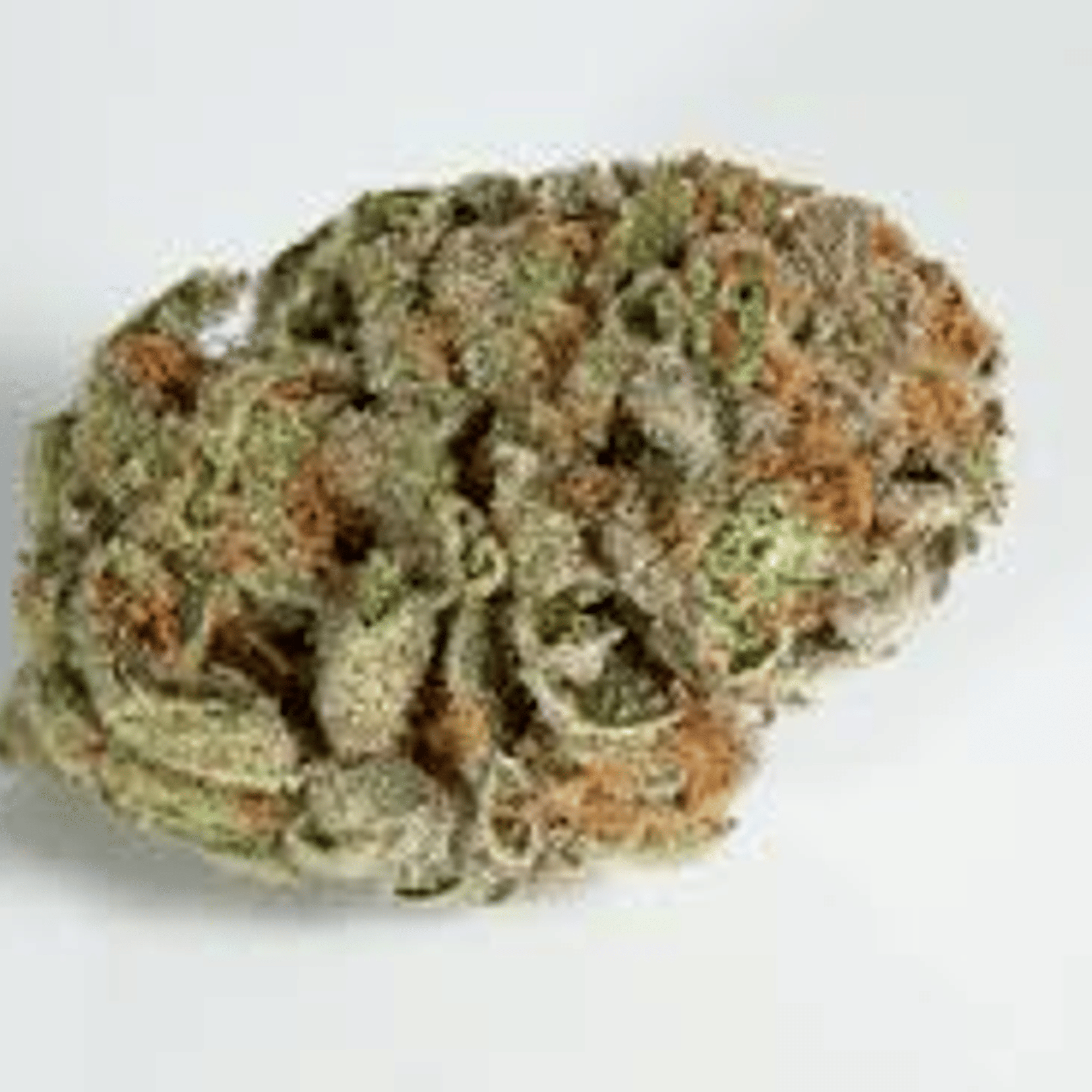 ALPACA CLUB - Ogre OG (I) - Smalls - Alpaca Bowl 4 U - 7g Pouch - $25 - Flower