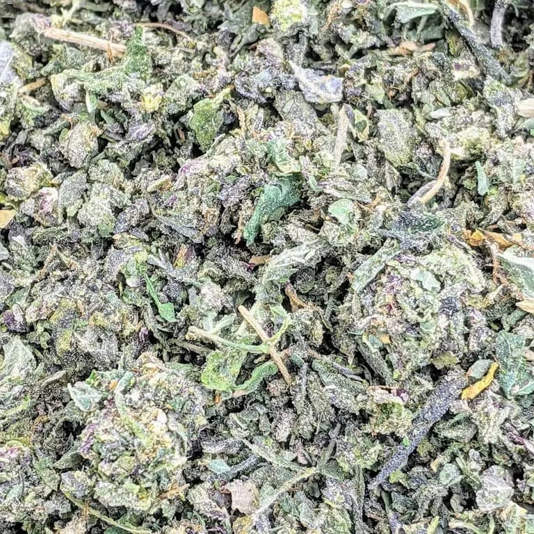 Poison Runtz | Shake [28g] - Original Intelligence -  - $40 - Flower