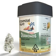 Coastal Sun: Leap Year