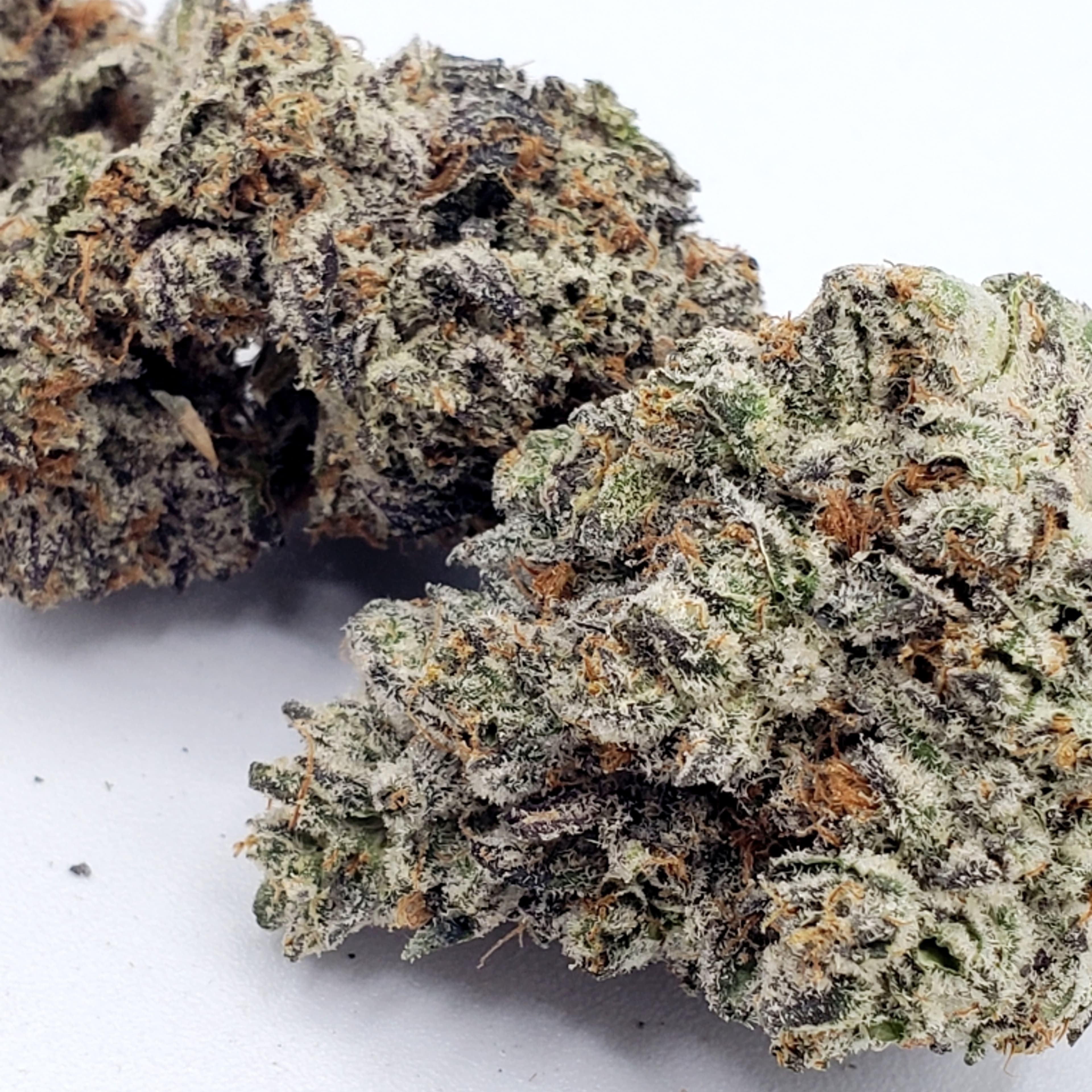 ALPACA CLUB - Ice Cream Sherbert (I/H) - Premium Mixed Light - Alpaca Bowl 4 U - 3.5g Pouch - $23 - Flower