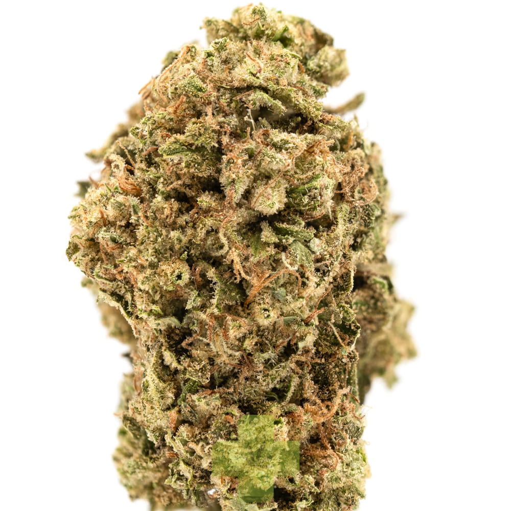 Soma Rosa — Gas Shnniz, Sg