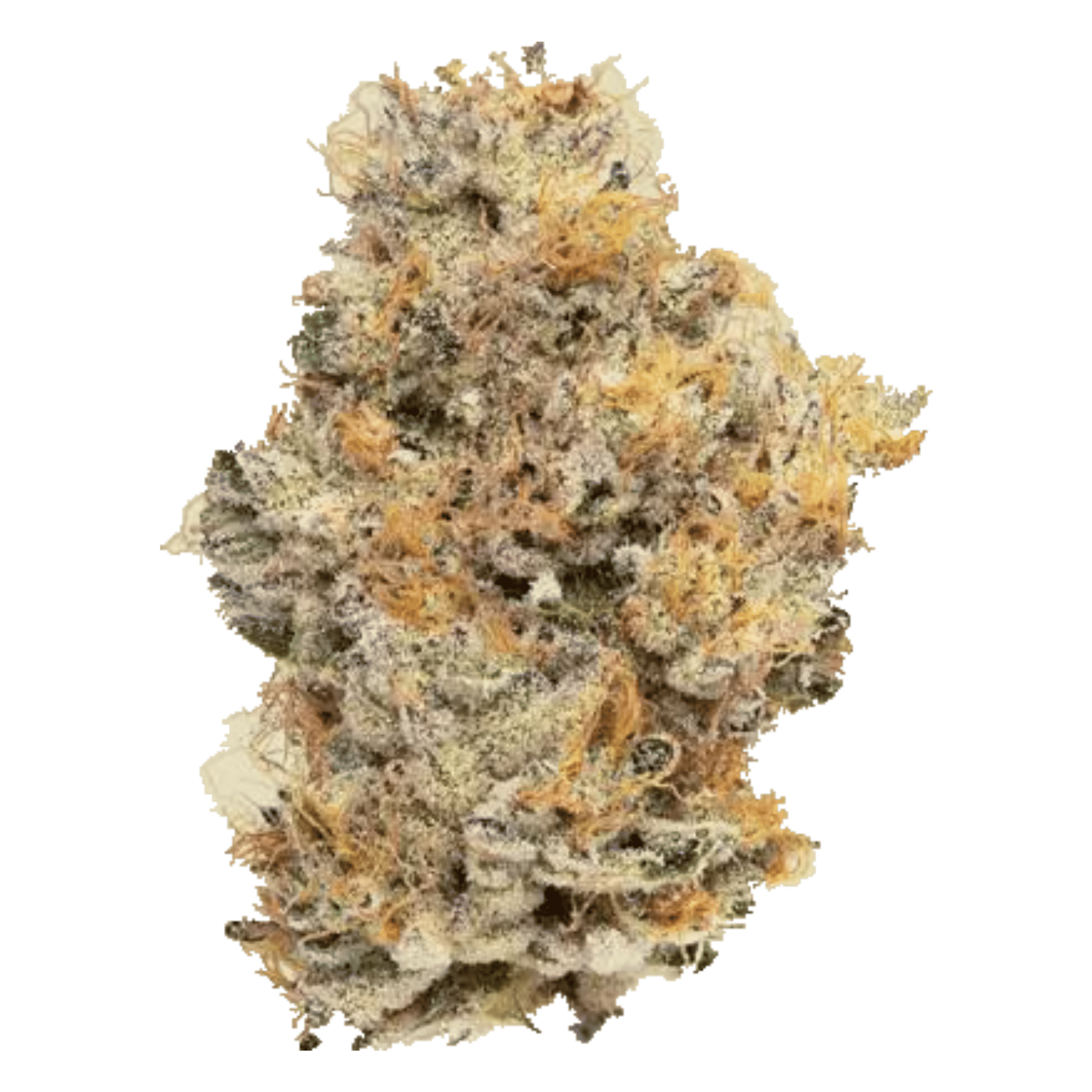 Wedding Cake - Flower - CBX Cannabiotix - Eighth - $54.99 - Flower