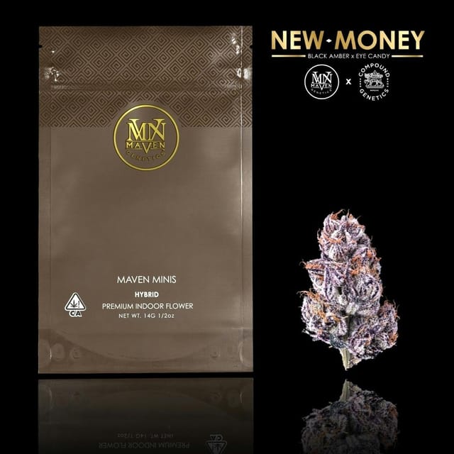 Maven Genetics: New Money