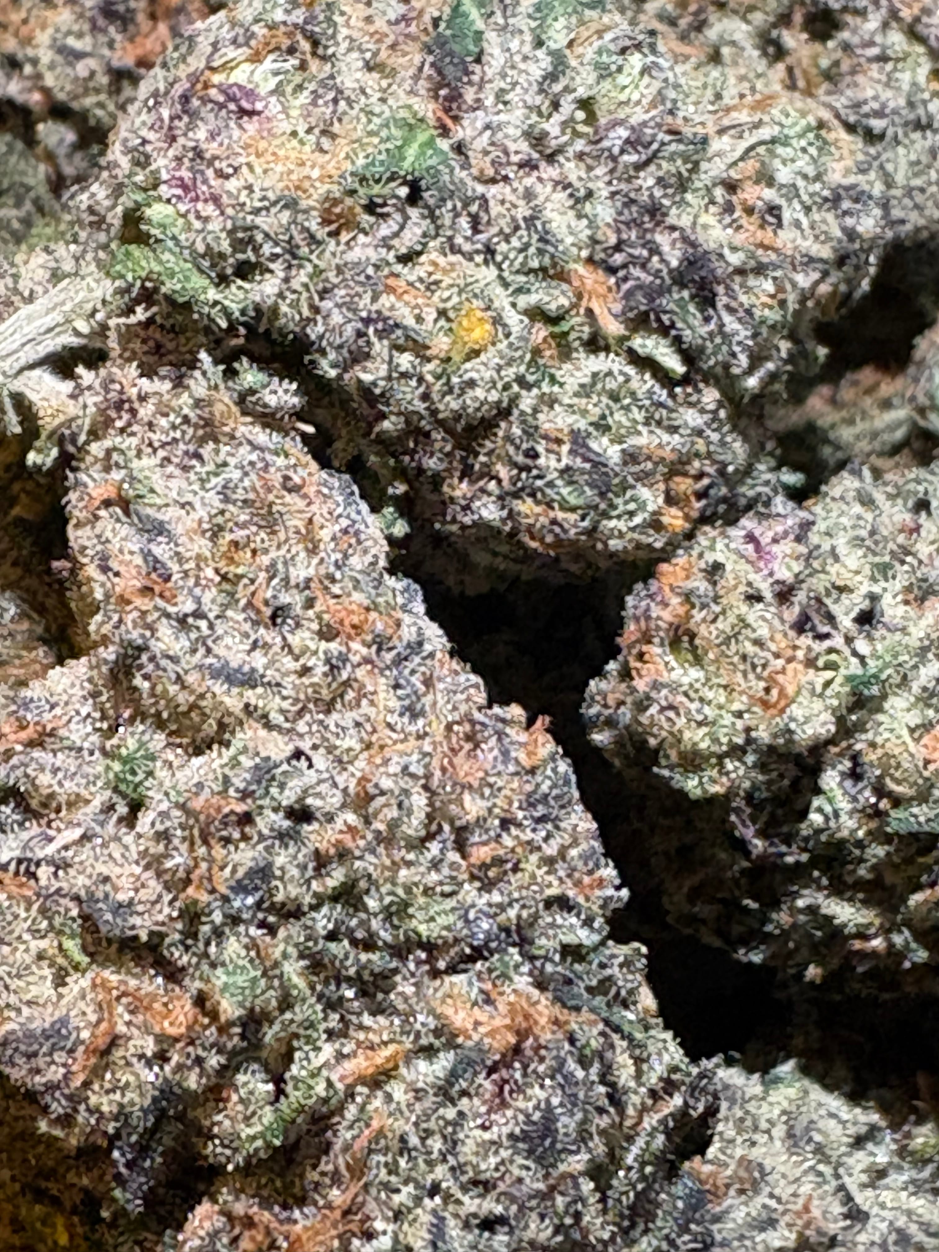 $20 Fish Scale 8th 34% THC (Top Shelf Indoor) - Cookies -  - $20 - Flowers