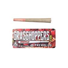 Cherry Pie | 1g Infused Preroll