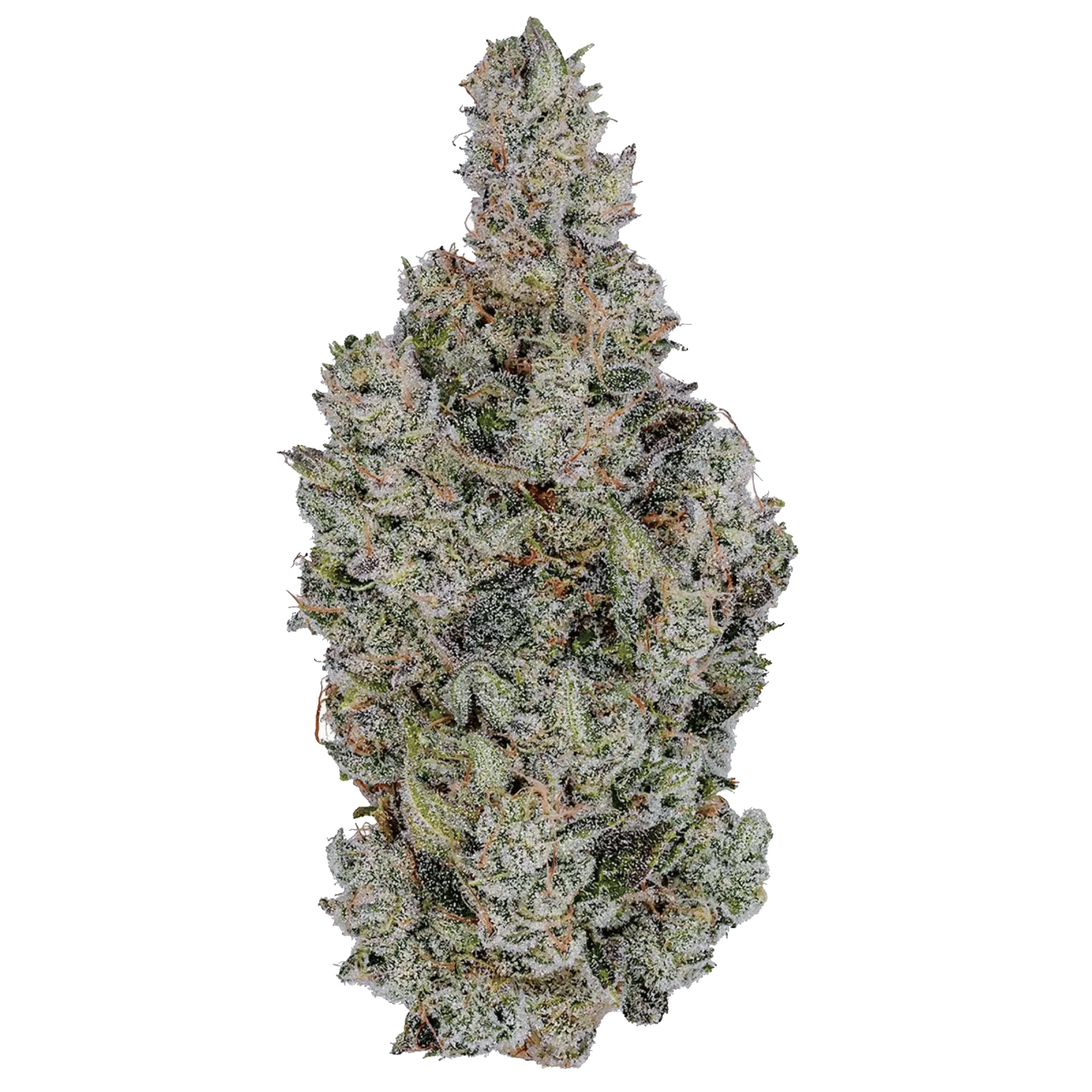 Holy Cow! - Jar - Indoor Flower - Fig Farms - Eighth - $49.99 - Flower