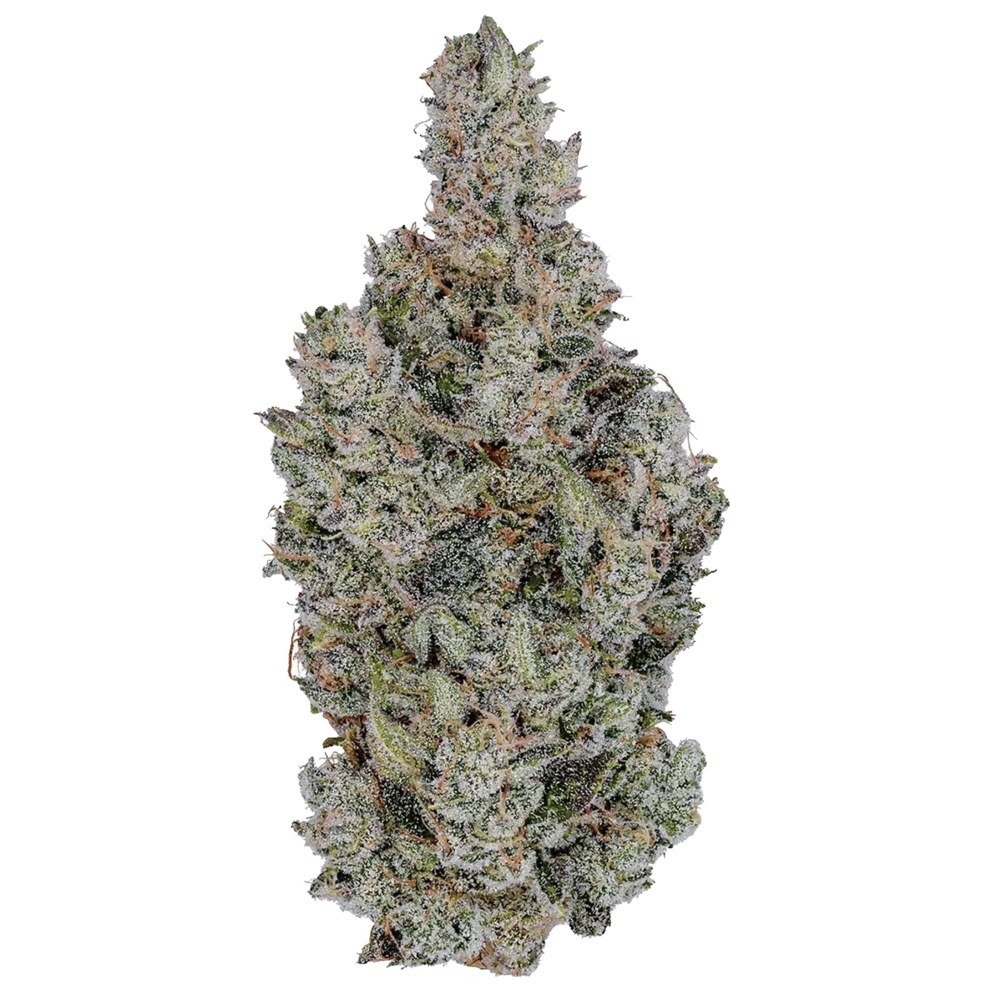 Holy Cow! - Jar - Indoor Flower - Fig Farms - Eighth - $49.99 - Flower