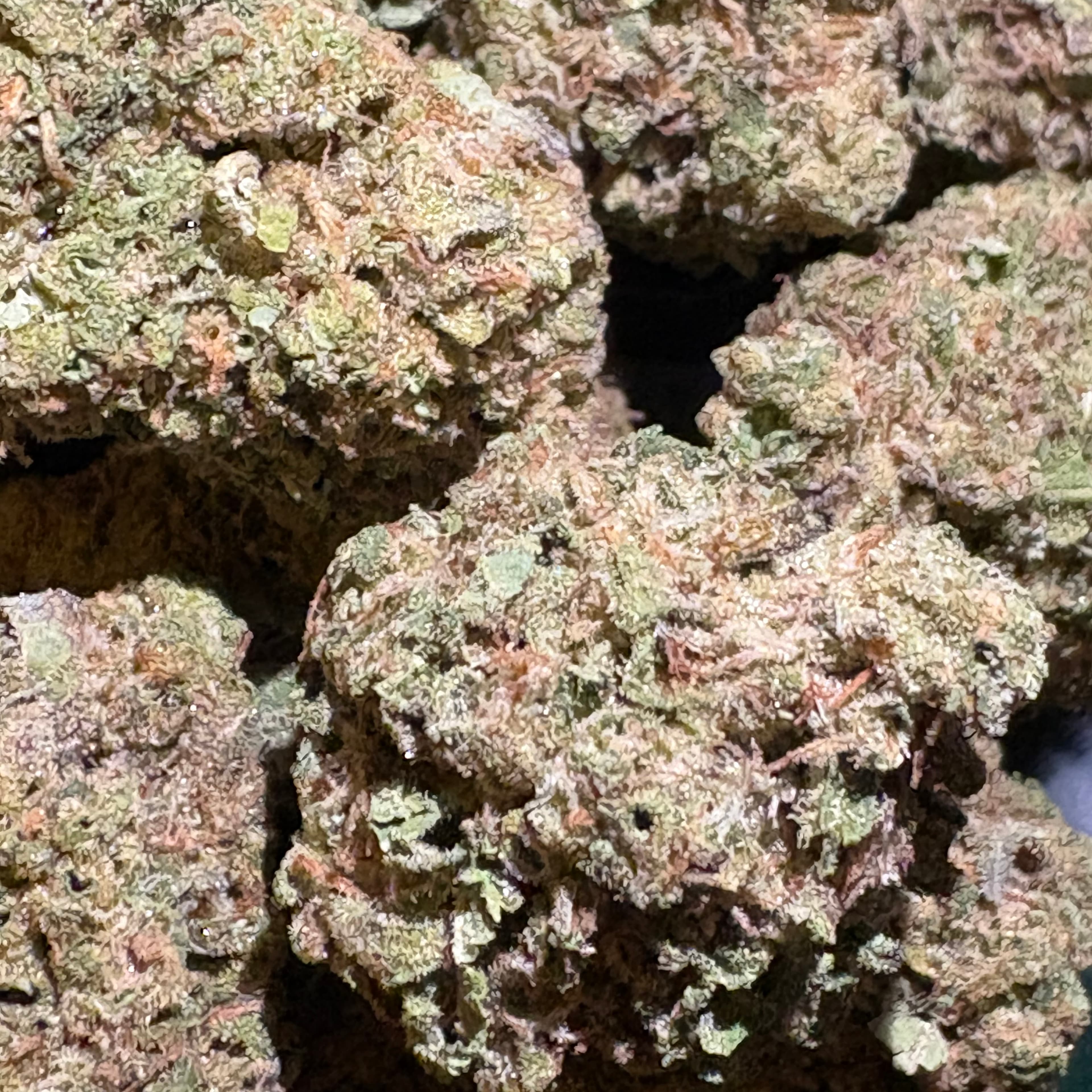 $35 Elmers Glue 14g 31% THC (AAA-Grade) - Sum Good - - $35 - Flowers