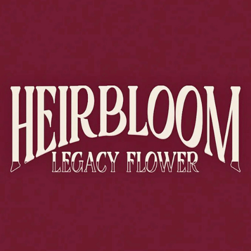 Master Kush Terp Sugar 1G - HEIRBLOOM -  - $21.50 - Concentrates