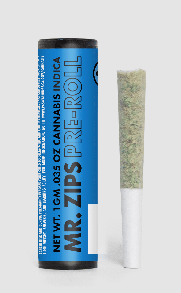 Mr. Zips: Governmint Oasis