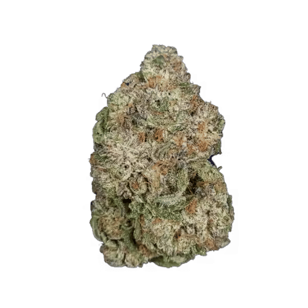 Astro GMO
