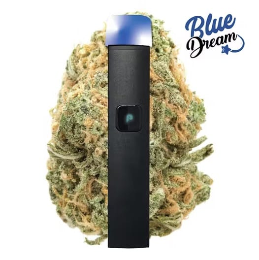 Blue Dream | AIO DNA [1g] - PLUGplay -  - $50 - Vape Pens
