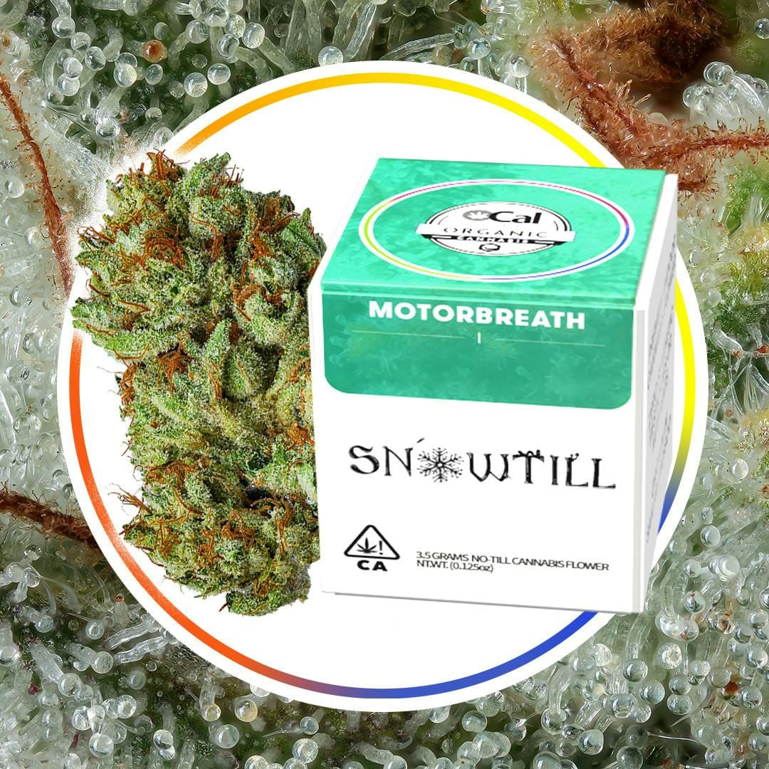 SNOWTILL - Motor Breath OG (I) - Top Shelf Indoor - Snowtill - Jar - $60 - Flower