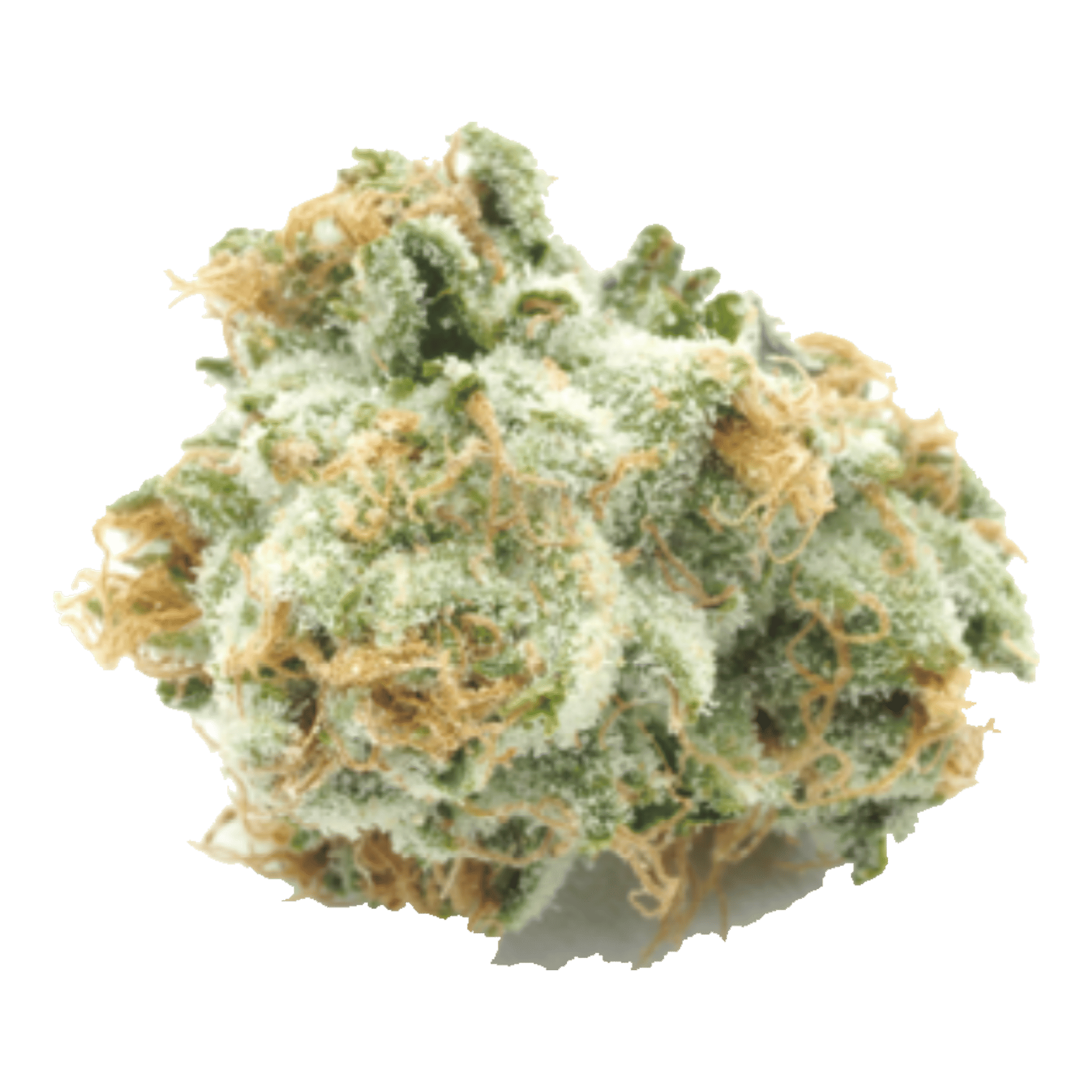 Whole Fruits - Jar - Indoor Flower - Fig Farms - Eighth - $49.99 - Flower