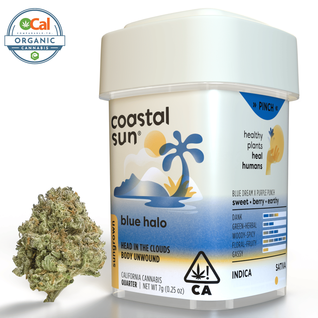 7G BLUE HALO - Coastal Sun -  - $31.25 - Flowers