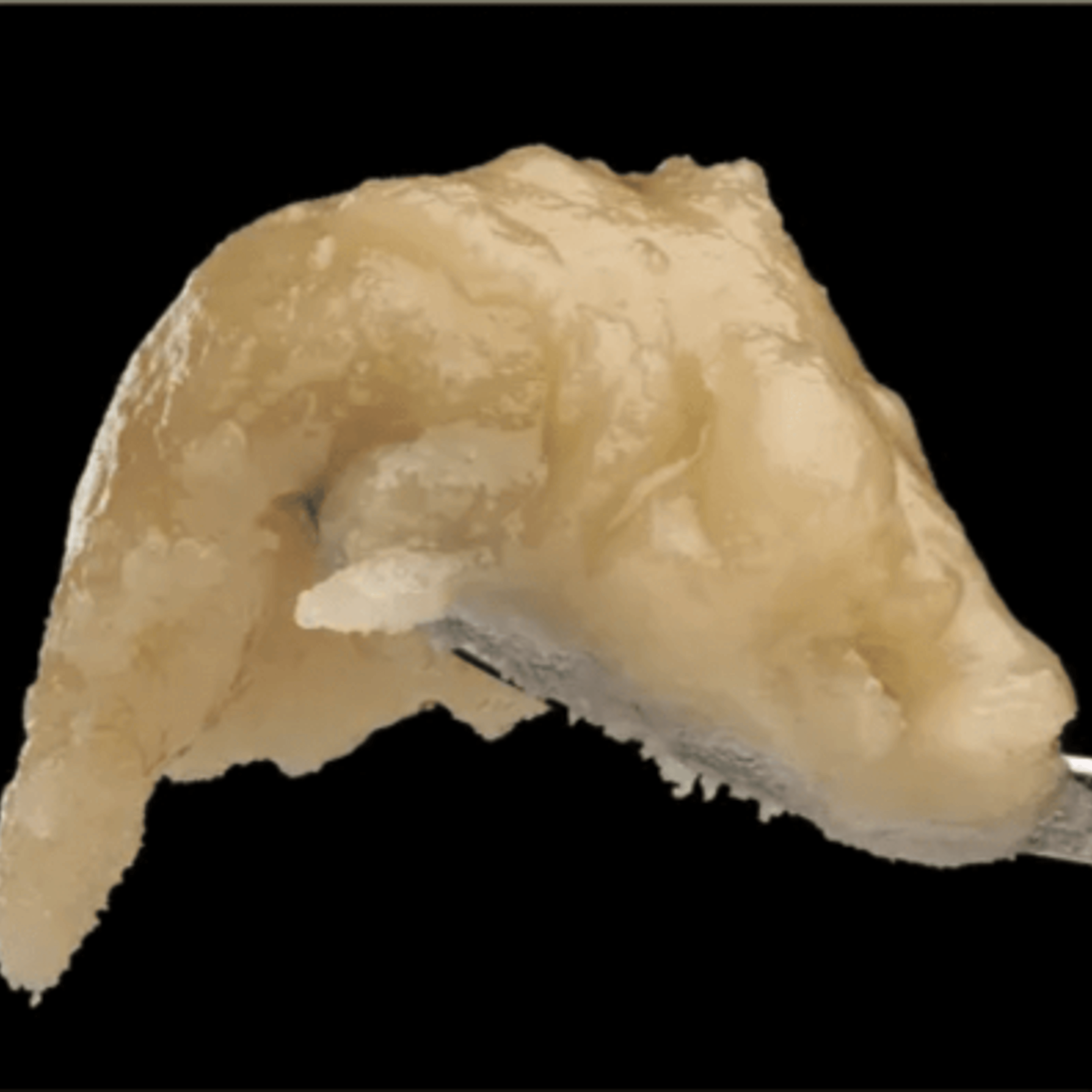 POZM - Live Rosin 1G - Mountain Man Melts - POZM Live Rosin (H) - $42 - Concentrates