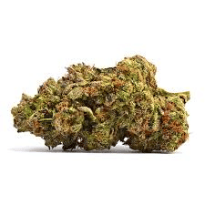 ALPACA CLUB - Lemon Cherry Gelato (H) - 3.5g Smalls - Alpaca Bowl 4 U - Pouch - $18 - Flower