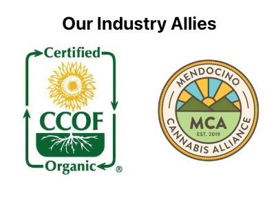 Forbidden Fruit - Perrin Family Farm - eighth - $28 - Flowers