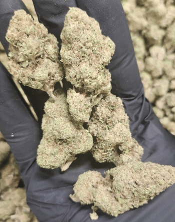 ALPACA CLUB - Hella Jelly (S) - 14g Sungrown A-Bud - Alpaca Bowl 4 U - Bag - $69 - Flower