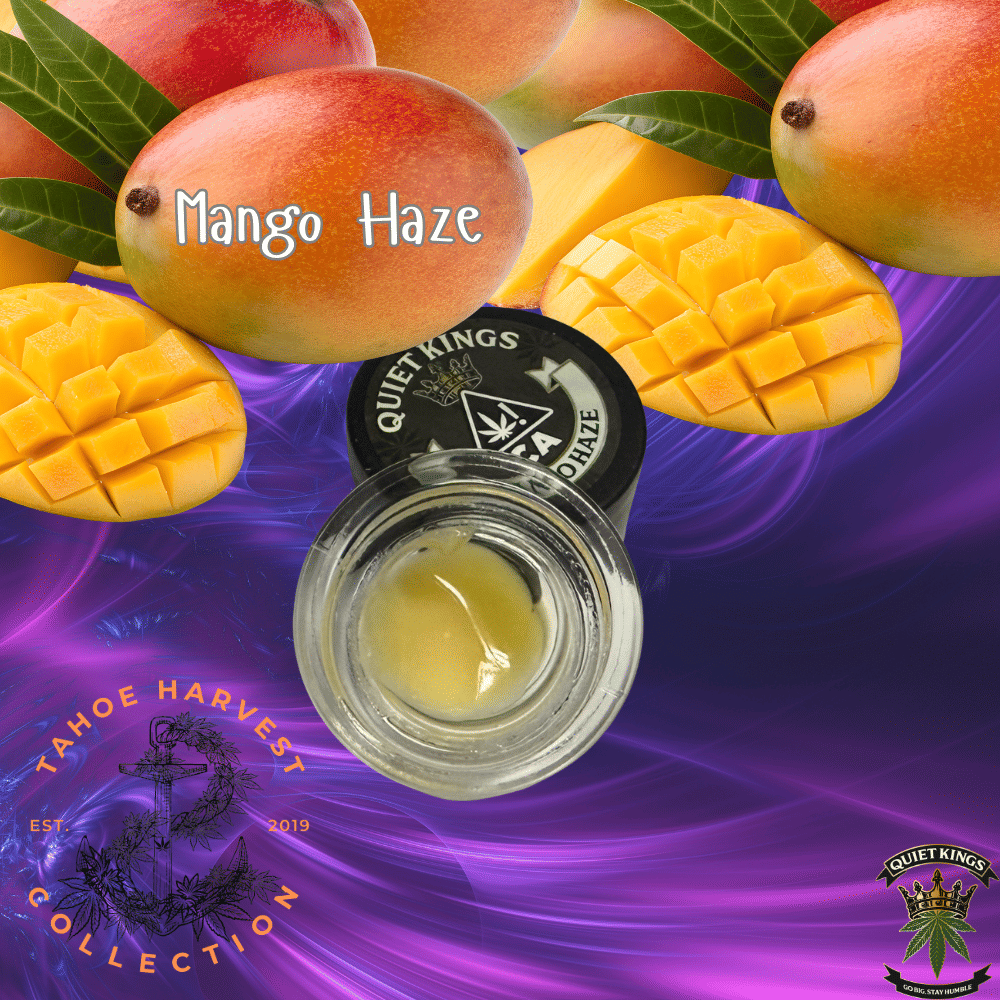 Quiet Kings: Mango Haze