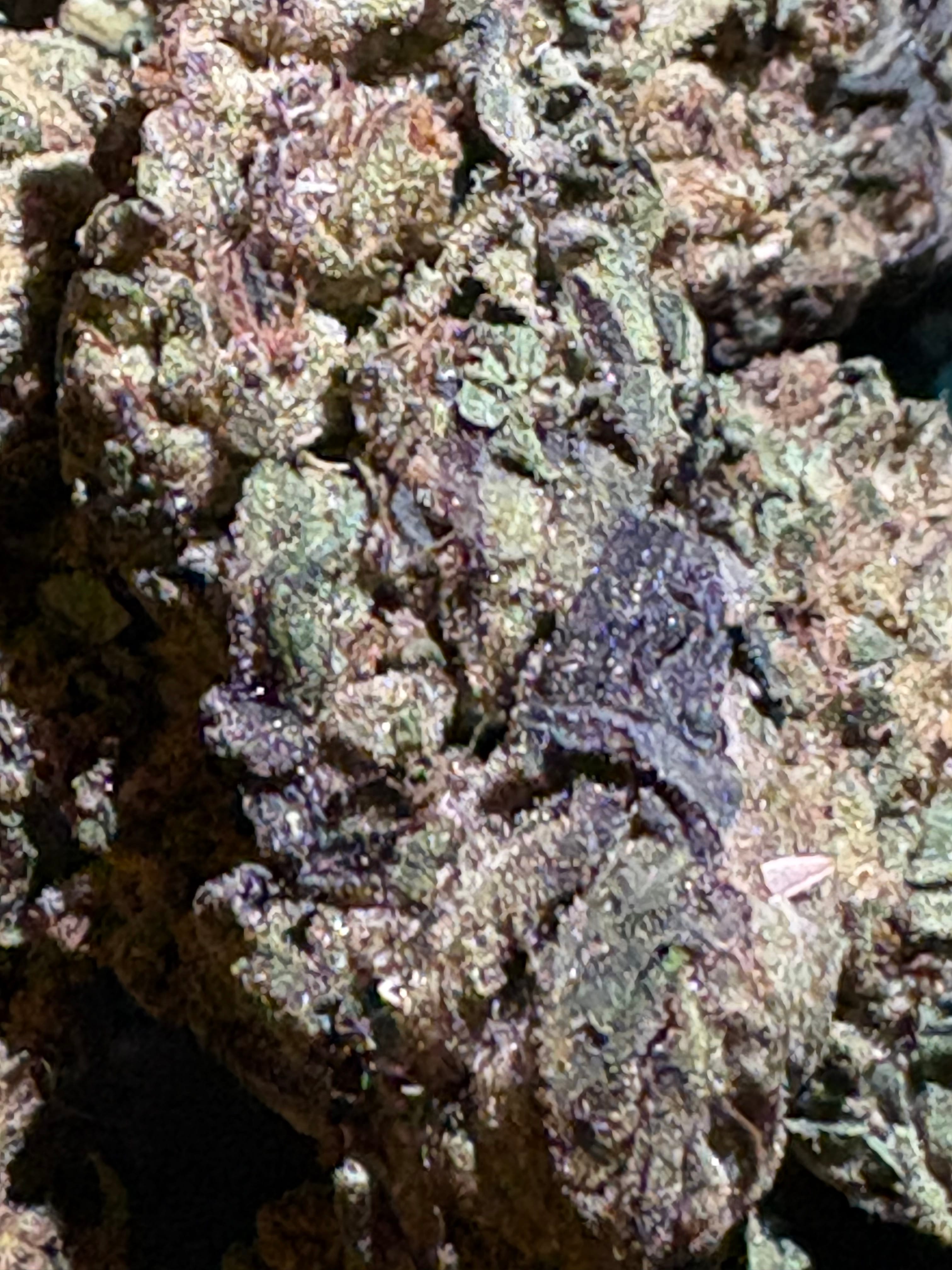 $40 Cherry Pie 1oz 30% THC (Mid-grade) - Sum Good -  - $40 - Flowers