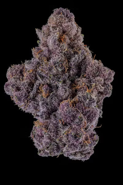 Queen of the South #11 - Flower 7g