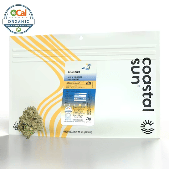 28G BLUE HALO - Coastal Sun -  - $91 - Flowers