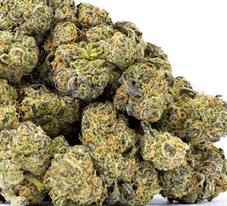 ALPACA CLUB - Government Oasis (I) - 14g Mixed Light - Alpaca Bowl 4 U - Bag - $79 - Flower