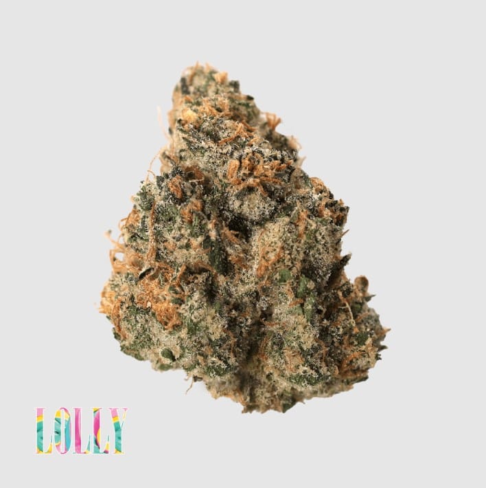 Traditional - Lolly - 3.5g - Traditional - 8th - $35.99 - Indoor Flowers