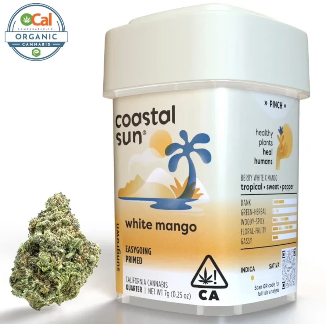 7G White Mango - Coastal Sun -  - $31.25 - Flowers