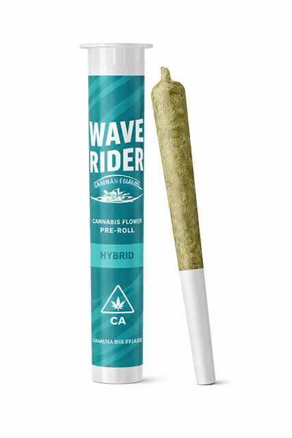 Wave Rider 1g Preroll - Apple Fritter