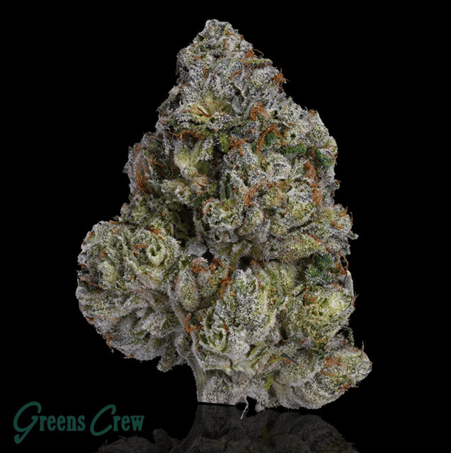 Green Jacket 14g