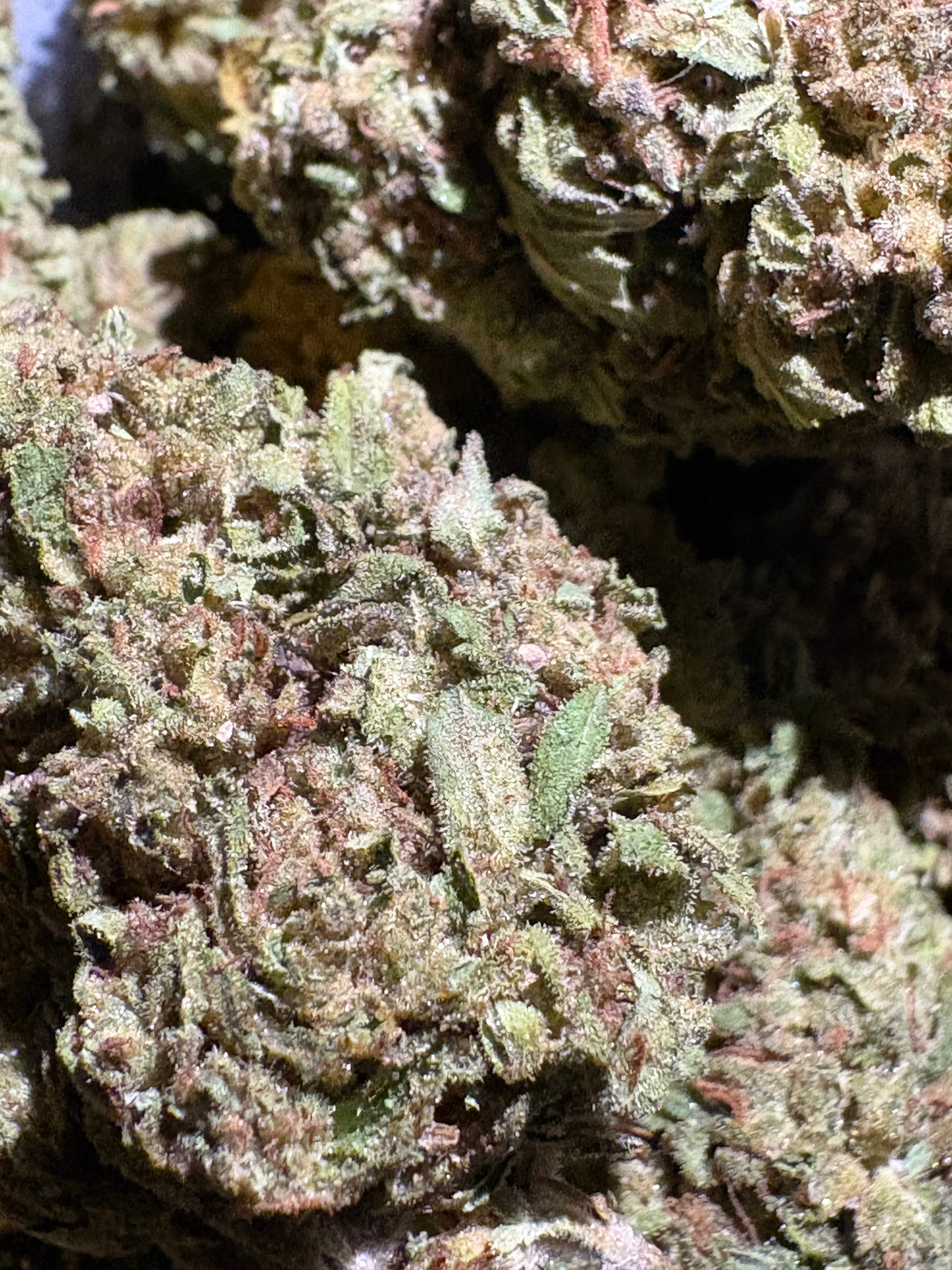 $10 Loud Pack - Mandarin Dream 3.5g 32% THC (AAA-Grade) - Sum Good -  - $10 - Flowers