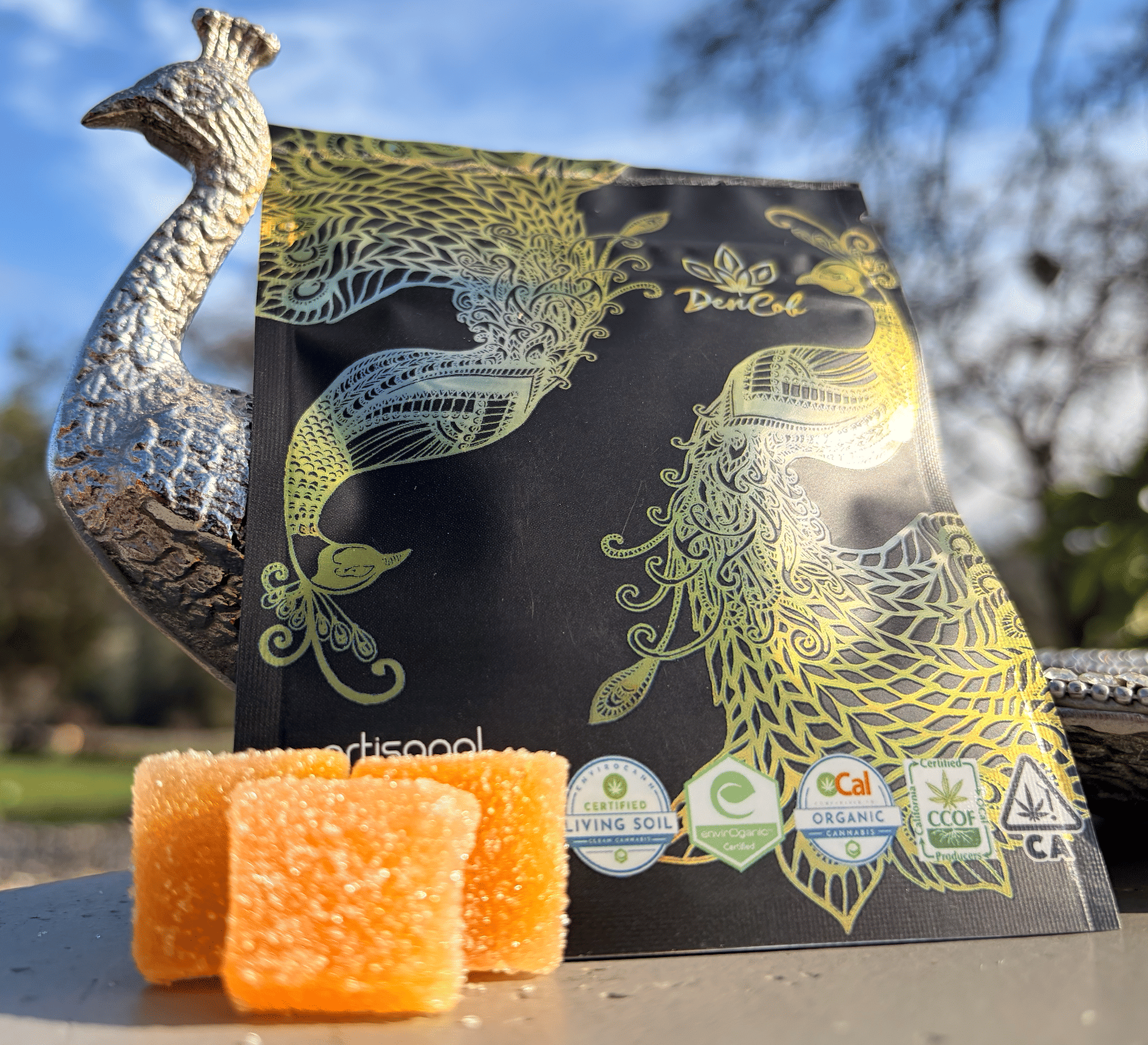 DenCob Farms: Mango Dencob 5 Pc